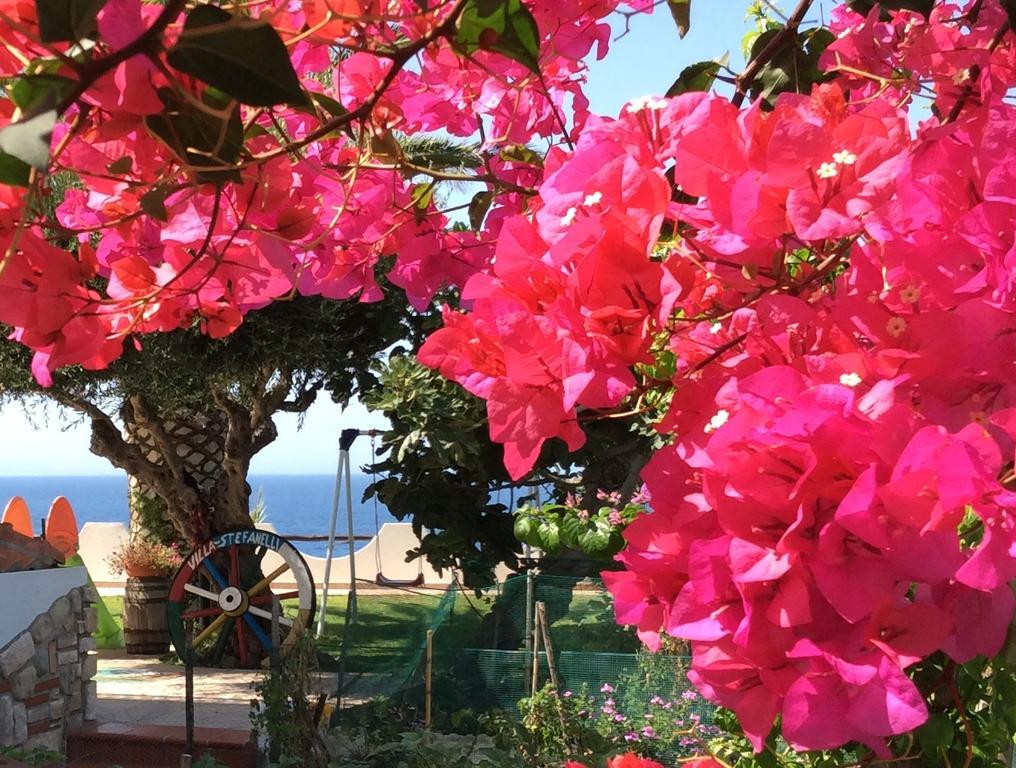Residenza Stefanelli Apartment Capo Vaticano Exterior foto